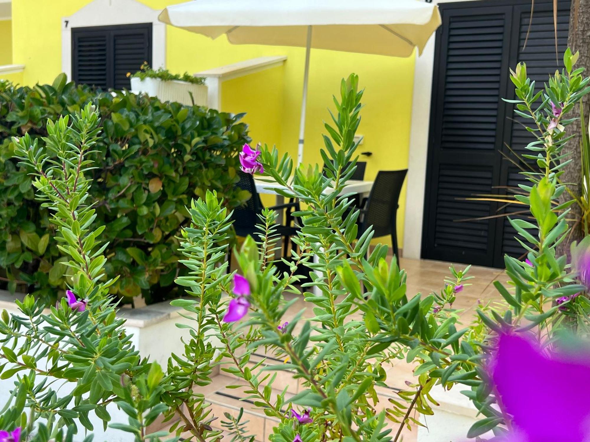 Argeste Club Vacanze Vieste Exterior foto