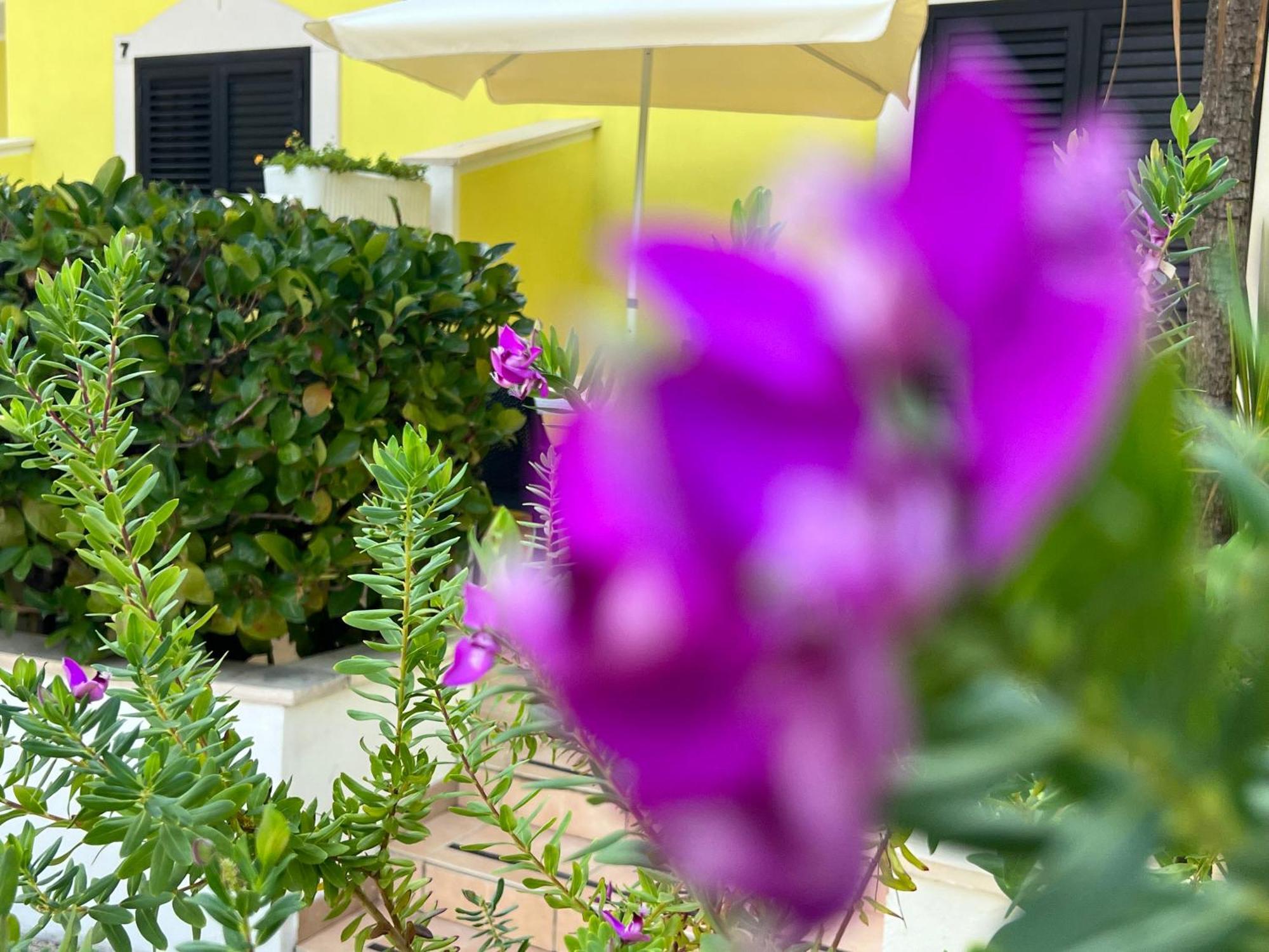 Argeste Club Vacanze Vieste Exterior foto